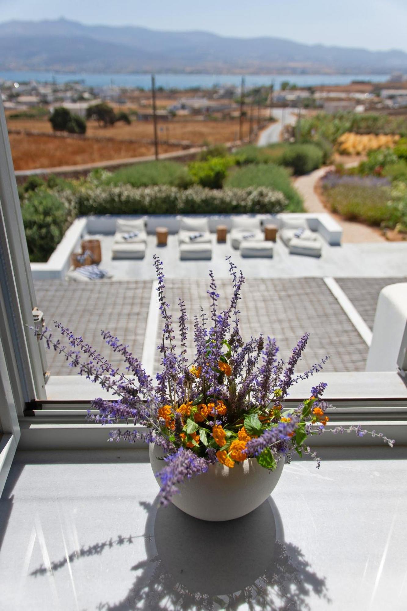 Dreamy 5 Bdr Antiparos Pool Villa Zewnętrze zdjęcie